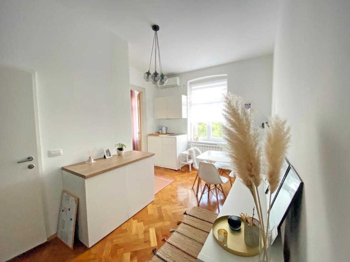 Bright Apartment 45M2 - Free Parking - Wifi Ριέκα Εξωτερικό φωτογραφία