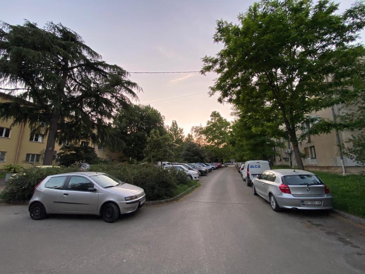 Bright Apartment 45M2 - Free Parking - Wifi Ριέκα Εξωτερικό φωτογραφία